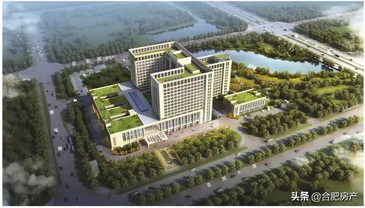 滨湖哪个区域买房最好,滨湖最好的房子值得买吗