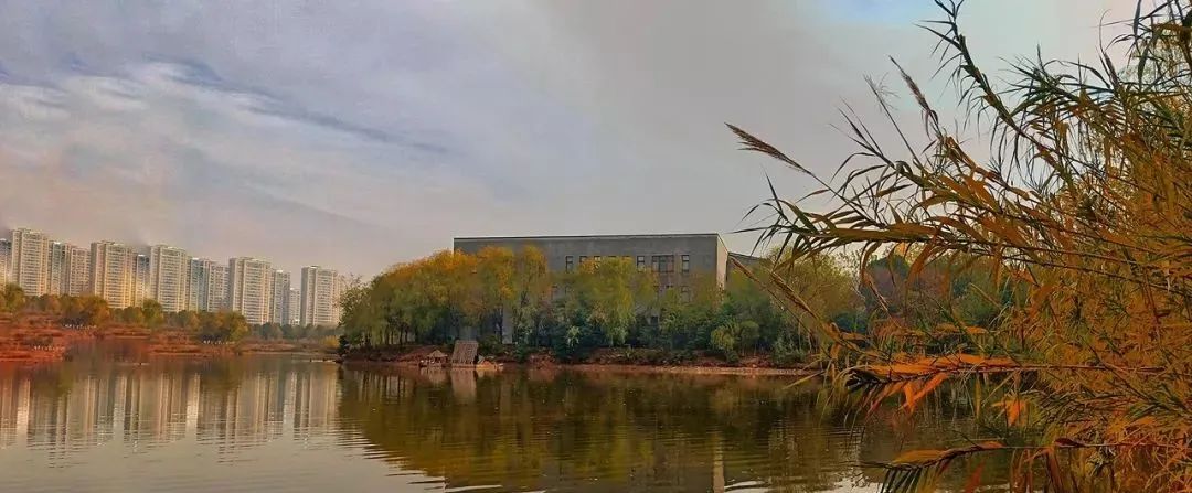 九大美院校园风景,中国九大美院校园风采