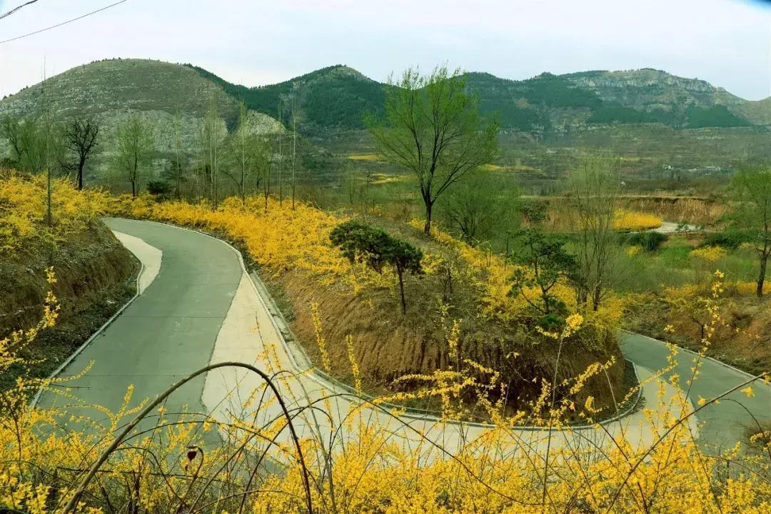 临朐石门坊风景区介绍视频,临朐石门坊风景区海拔