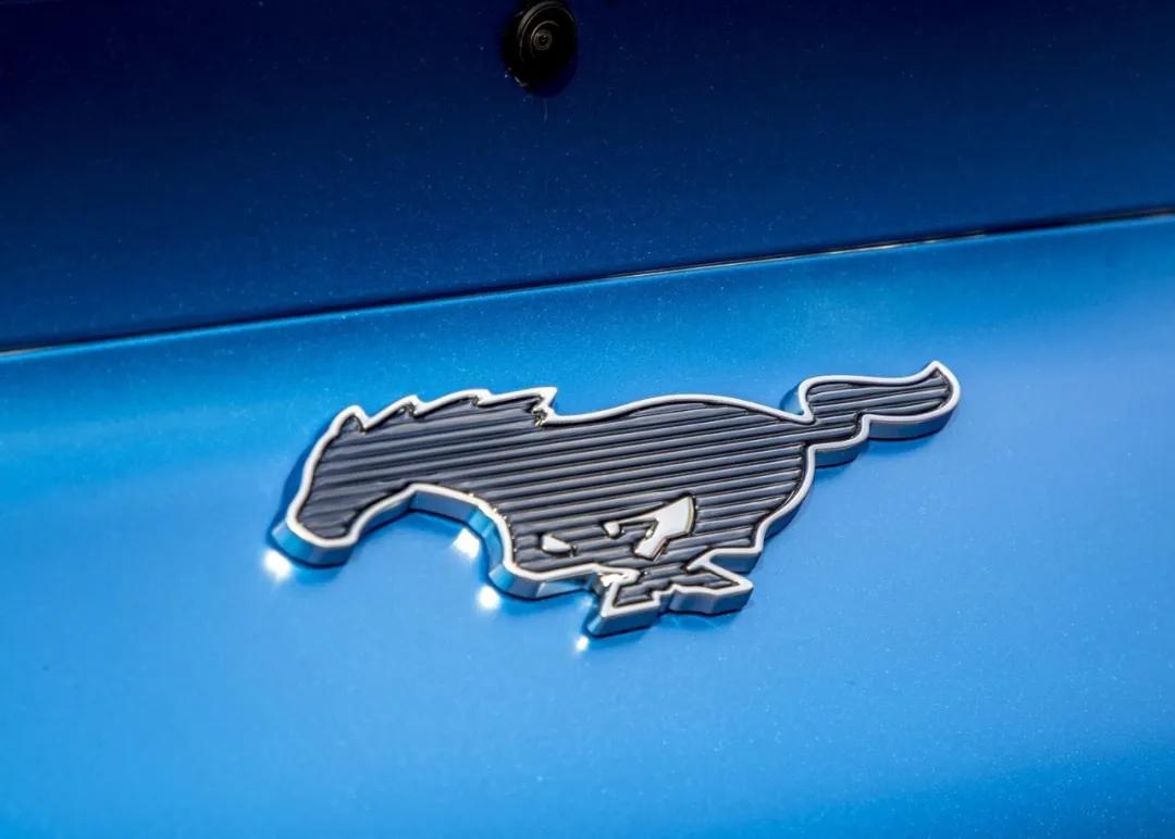 2021椹勾,2021鏄┈骞村悧