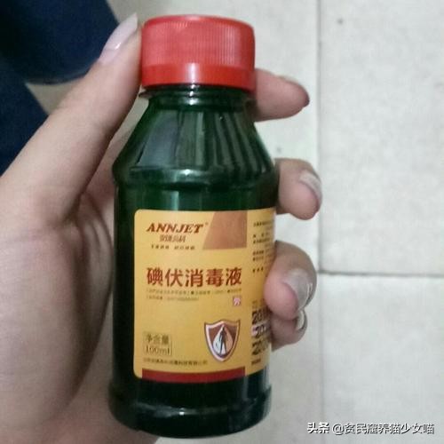 新手养猫家庭必备药省钱又好用,养猫必备18种药物有哪些