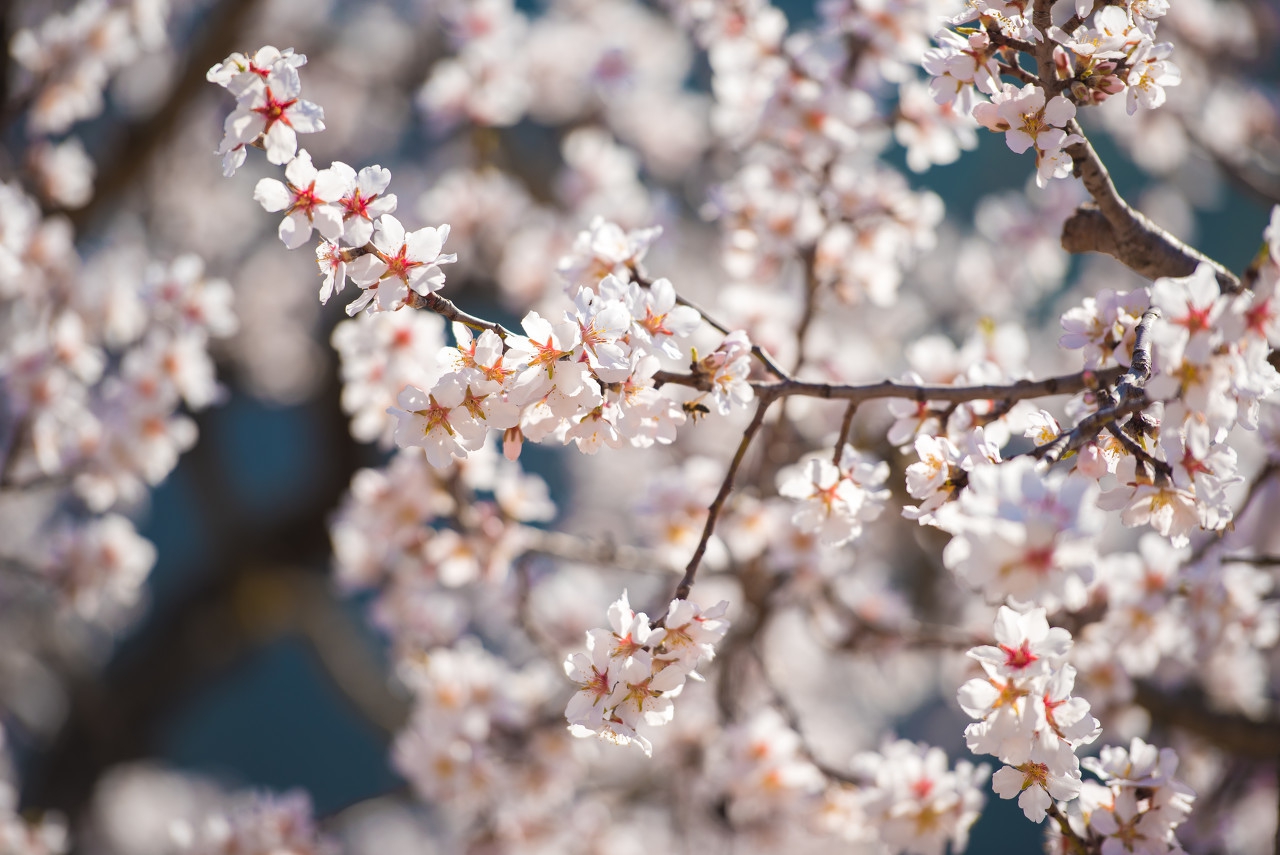 疫情名言名句经典摘抄,抗击疫情的句子摘抄