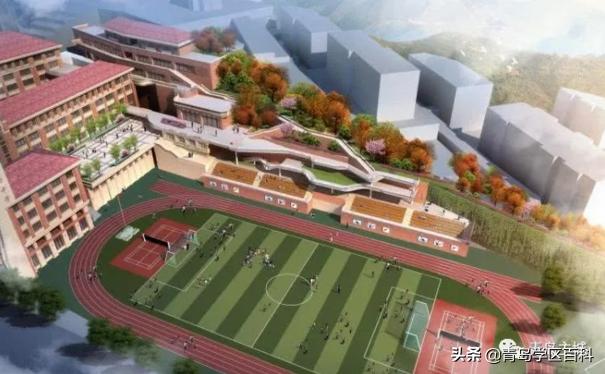 麦岛小学对口初中,青岛麦岛中学的地址