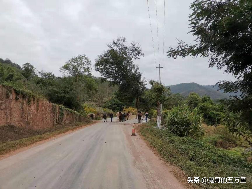 鬼哥的五万里D108骑记：给回族商人点赞（曼腊乡-整董镇）