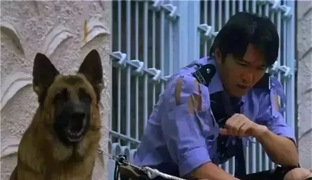 1999年喜剧之王内地电影院上映,1999喜剧之王香港上映时间