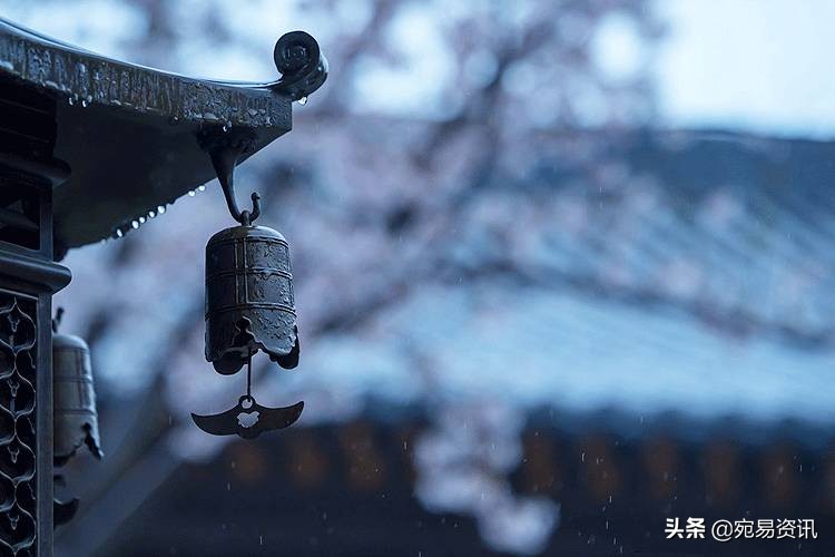 白公鸡啄人迷信说法,民俗中的白公鸡