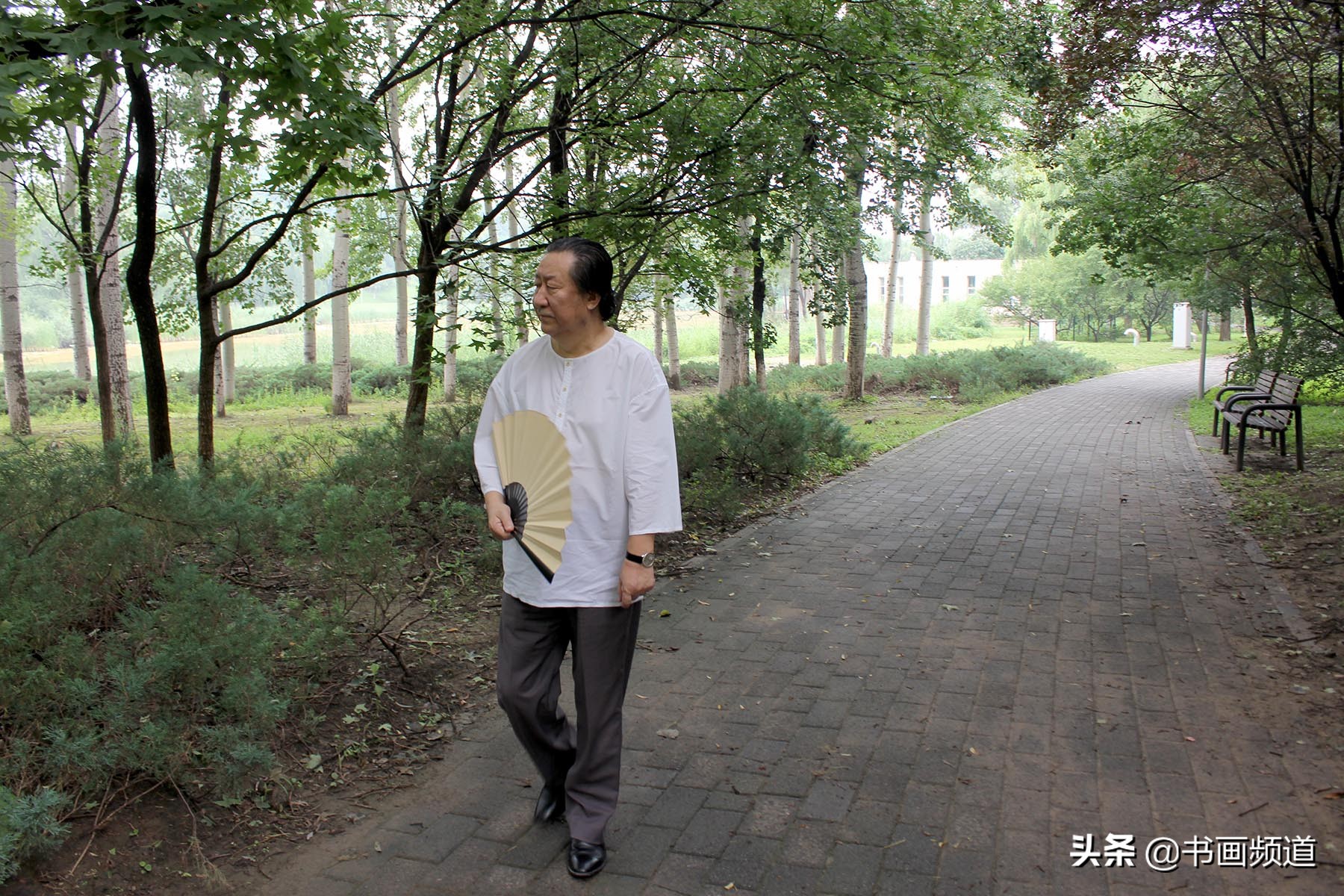 杨晓阳写意作品,杨晓阳从写实到写意