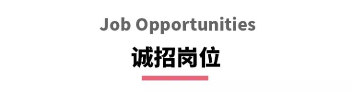 招聘副总裁兼总经理,猎聘招聘财务