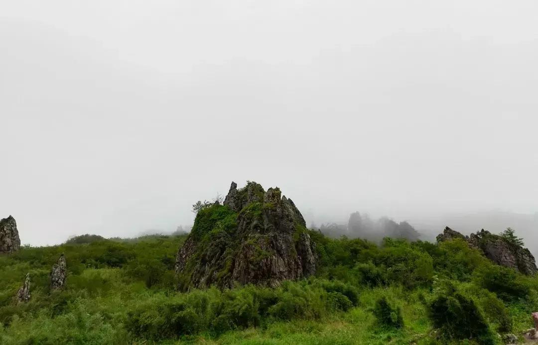 神农架攻略书,重庆出发神农架三日自驾游攻略