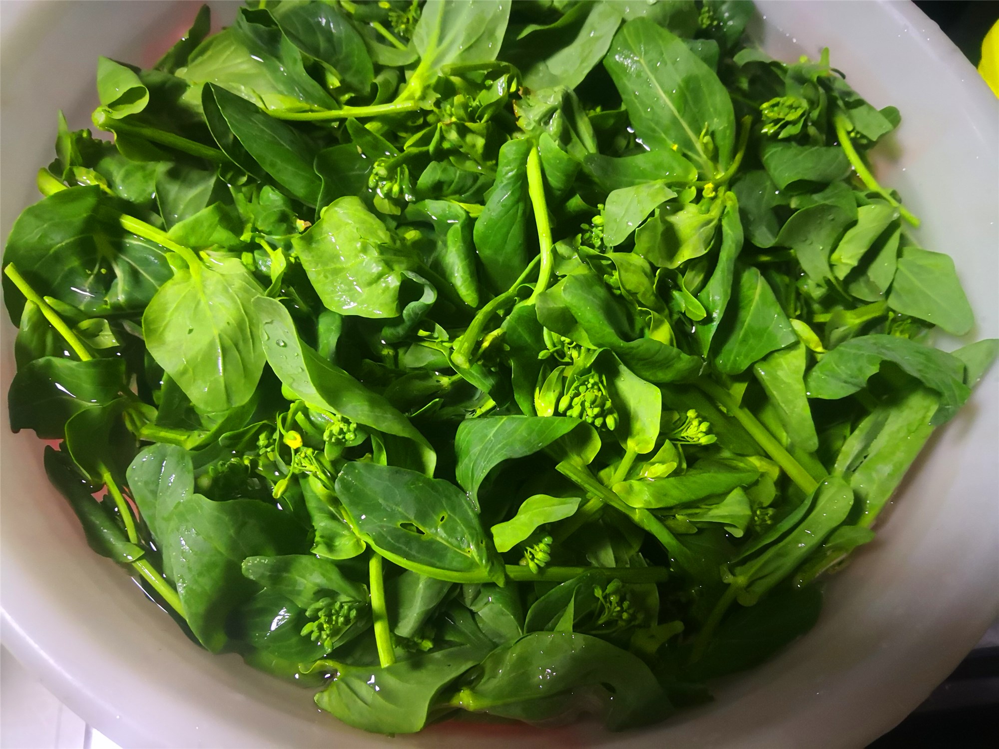 清炒油菜香菇的做法大全视频教程,炒油菜尖的正确方法