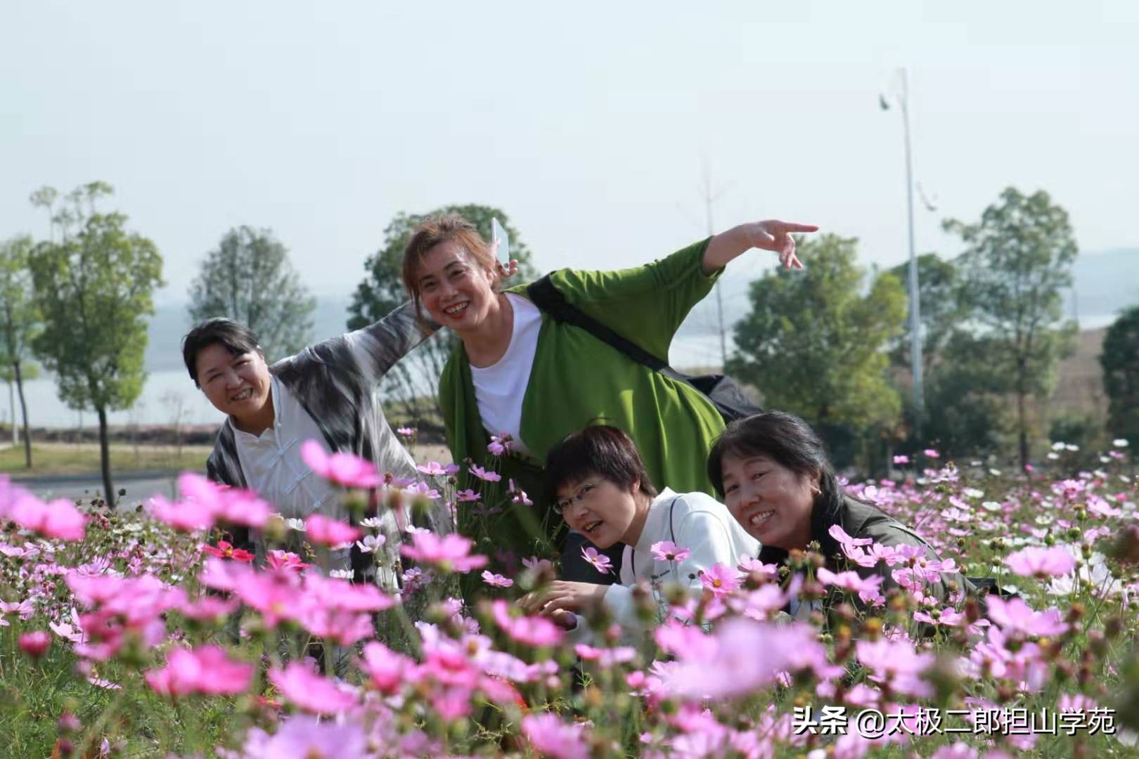 长沙郊游洋沙湖五彩花田半日游,长沙洋湖旅游推荐