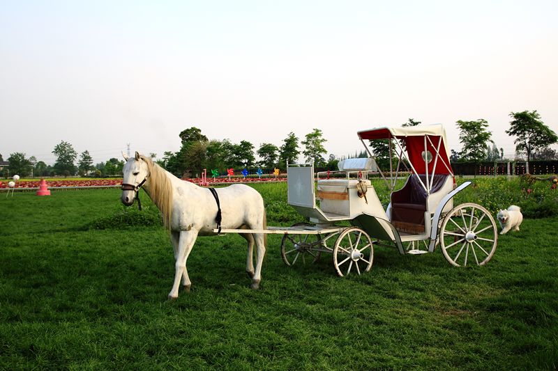 战旗村妈妈农庄,到战旗村妈妈农庄怎么走