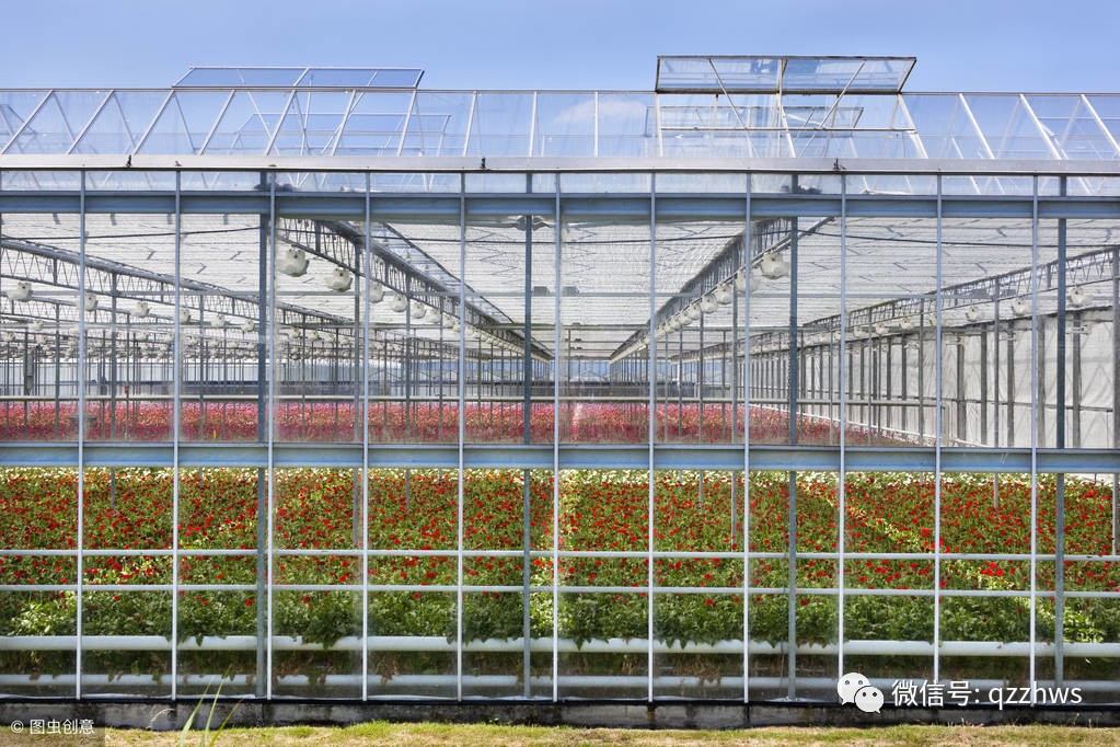 薄膜连栋温室大棚建造价格,连栋薄膜温室大棚结构哪里有