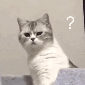 听到舍友奇怪的梦话,室友夜里说梦话是什么原因