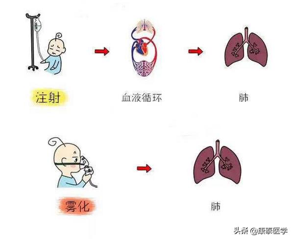 雾化器第一次用需要洗一下吗,雾化器用完为什么要冲洗晾干