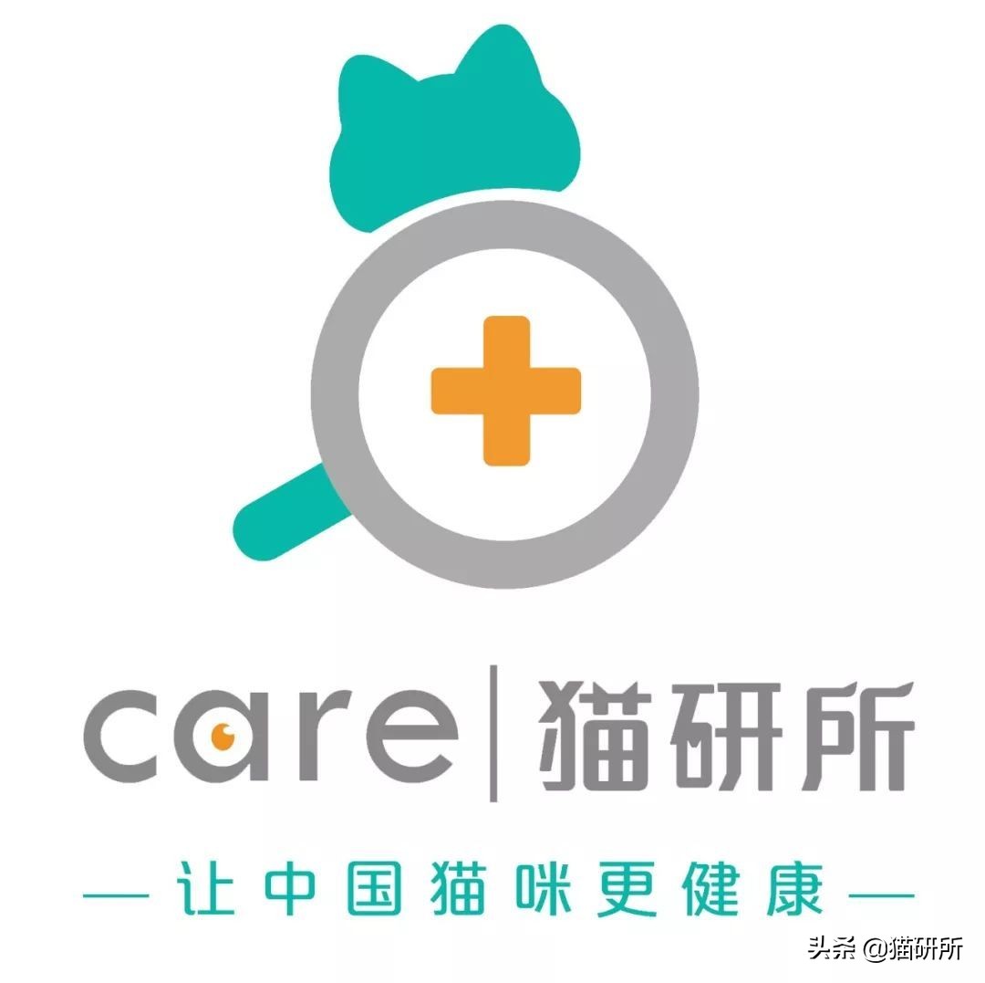 高层养猫到底要不要封窗,封窗养猫