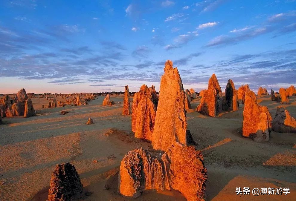 澳洲游学满载而归,澳洲亲子游学日程安排