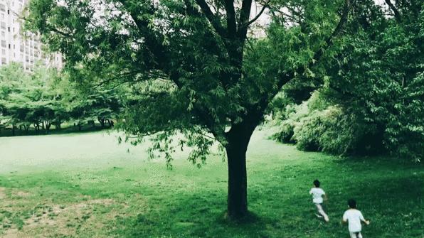 孩子优不优秀和母亲性格有关,孩子出色取决于母亲的性格