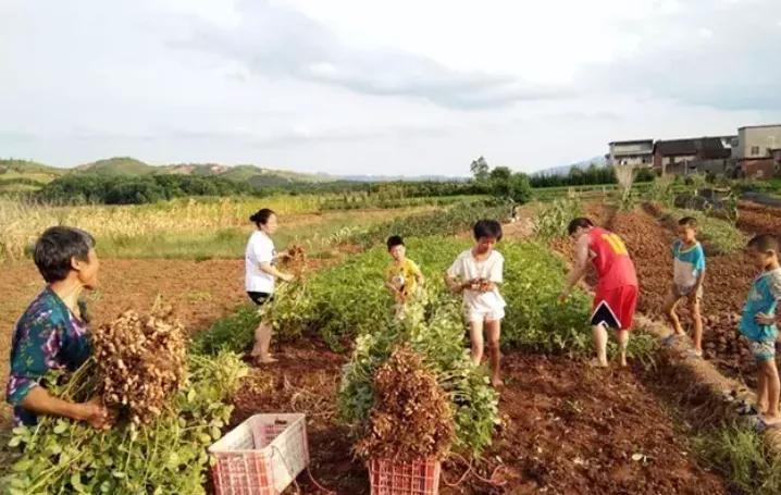 紧急提醒这些人务必第一时间就诊,紧急通知全员归队