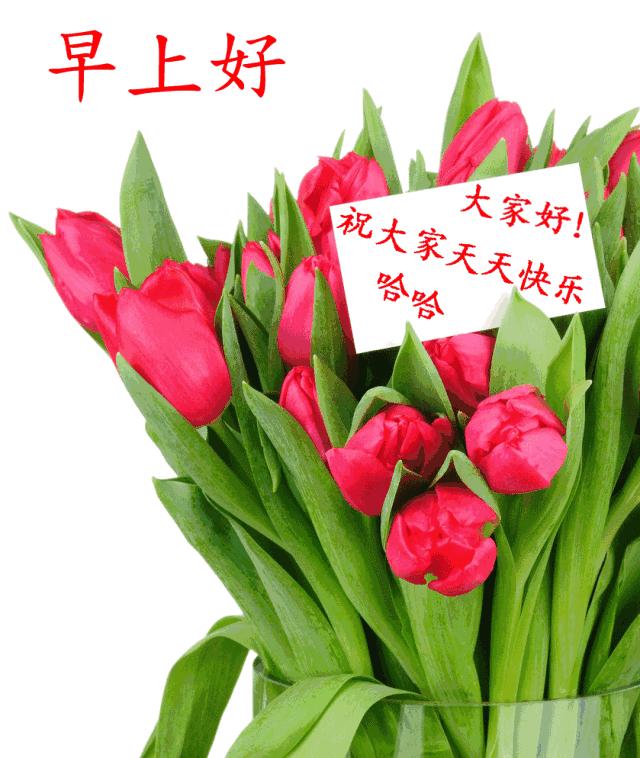 特别暖心的早上好祝福语图片图文,早上好祝福问候语温馨短句图片