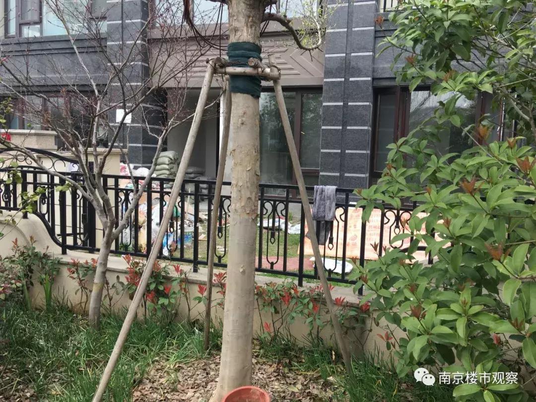 10盘迎来交付大考，实景谍照流出！这品质…