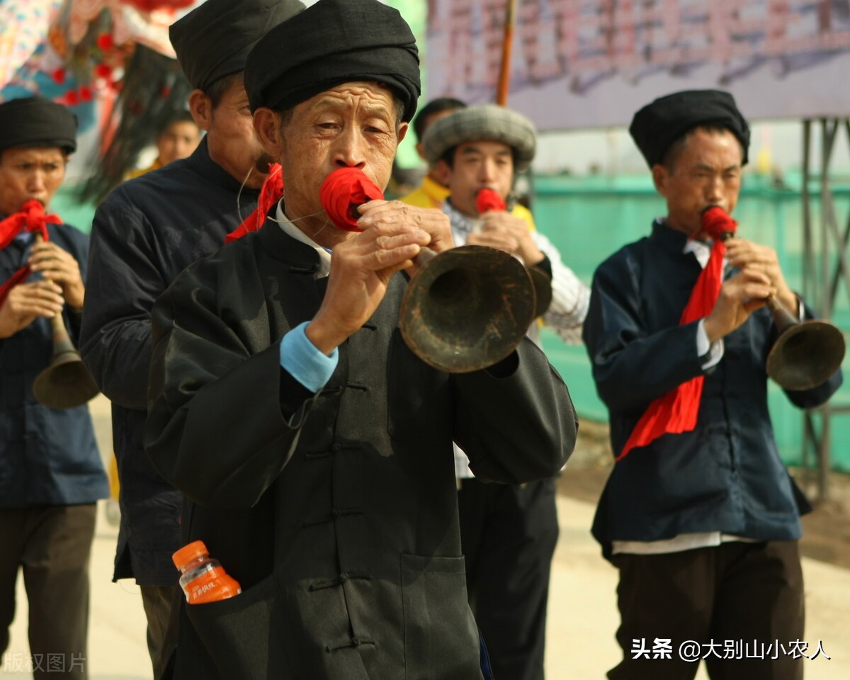 真•全村吃饭蛇:性格温顺但毒素却能深入骨髓,就是被咬后要睡觉