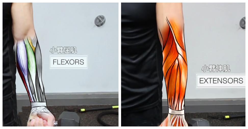 前臂力量不够？只需3个动作，就能练壮前臂，让你的手臂更有型