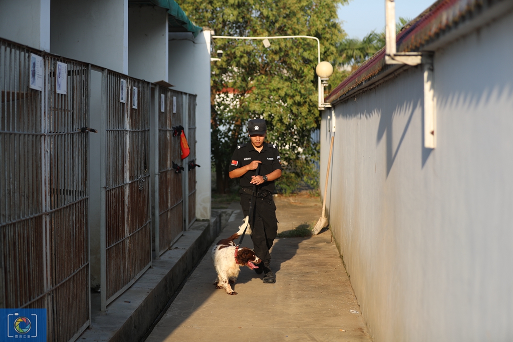 警犬训犬师的工作和生活,如何成为一名合格的警犬训导员