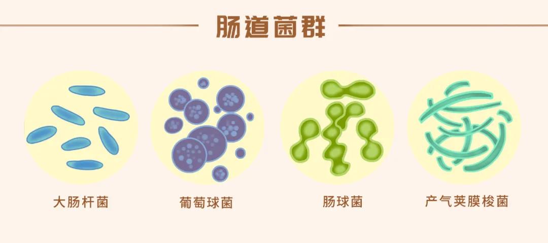 肺癌恶心还能活多久,肺癌病人胃反酸水口腔溃疡