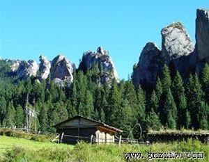 甘南则岔石林住宿,甘南则岔石林免票