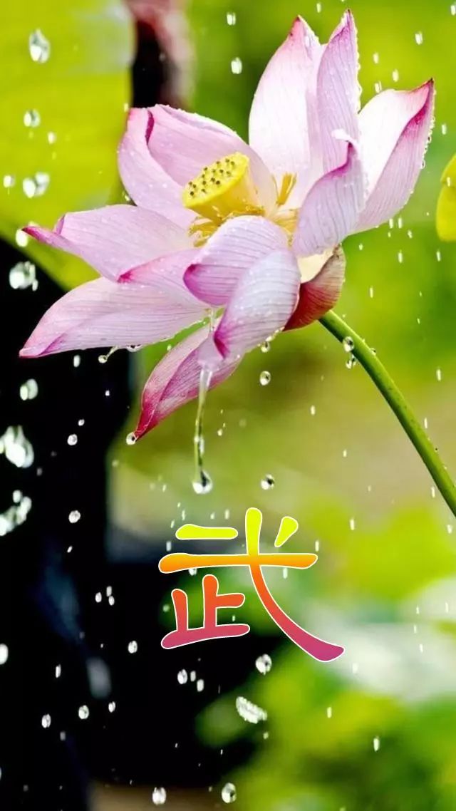 珠宝翡翠艺术字体,翡翠字体图片欣赏