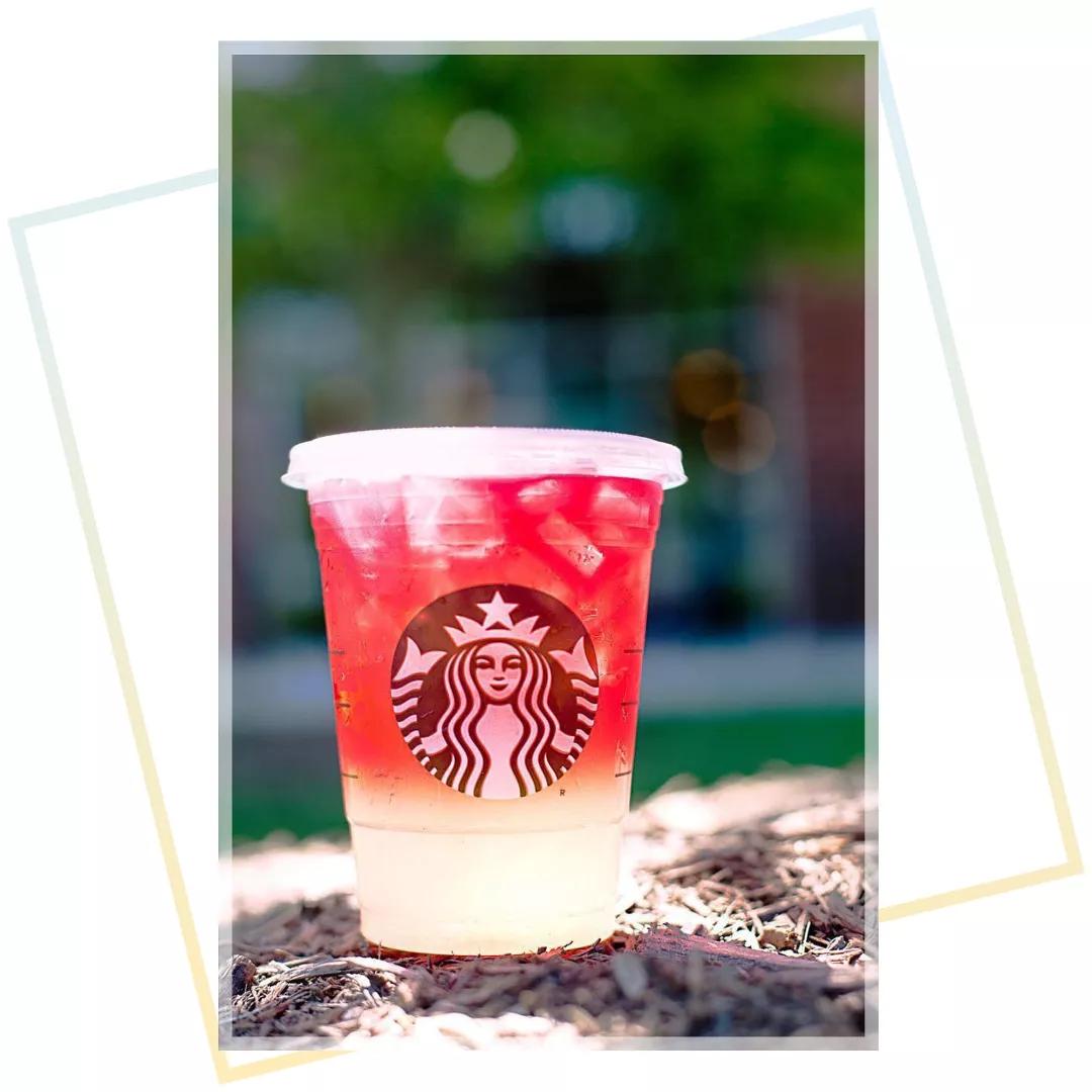 网红奶茶大盘点,高颜值又好喝赶紧做功课