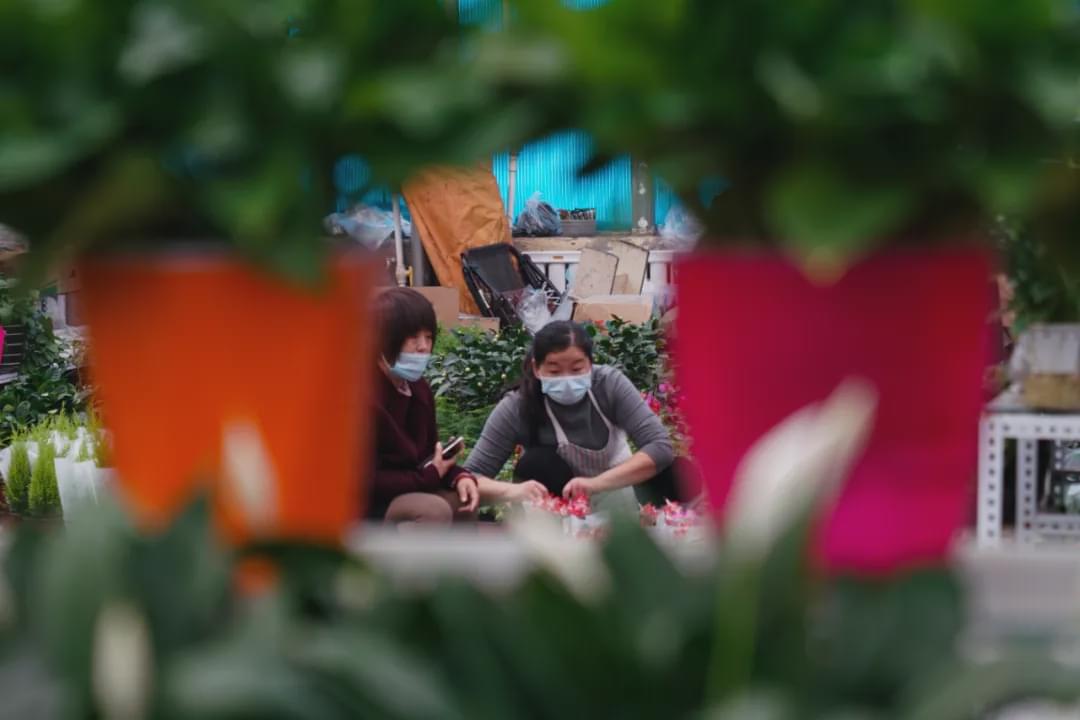 乌鲁木齐花市在哪里光明路附近,乌鲁木齐的花市在哪里