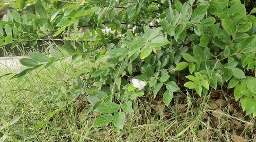 一加7pro充电多少w,一加7prowifi6