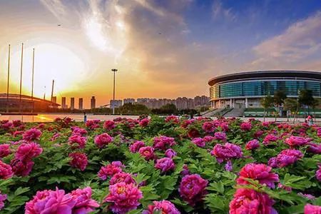 河南洛阳市是几线城市,河南洛阳是怎么样的