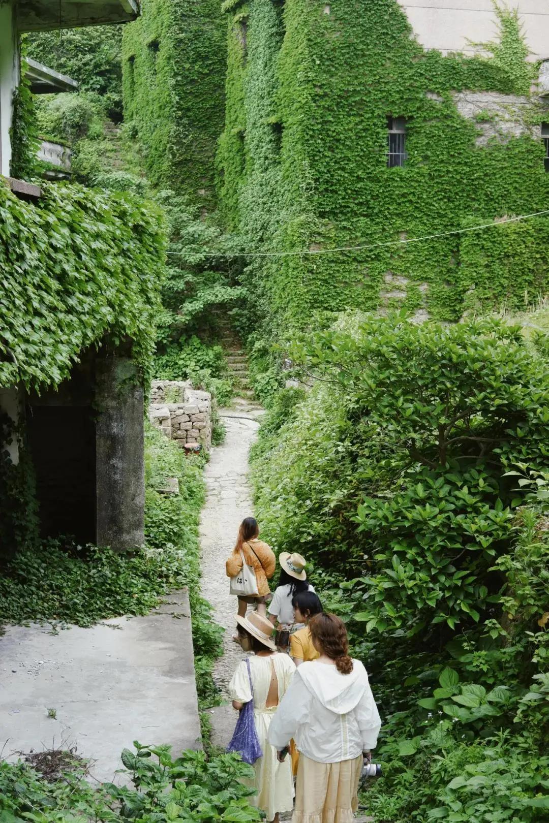 枸杞岛东方小希腊素材,被称东方小希腊风光无限的枸杞岛