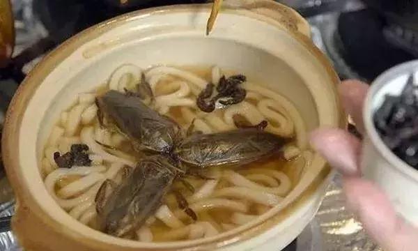 外国奇葩美食,外国最奇葩的美食