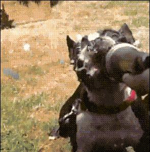 洗牙口腔治疗是忽悠人吗,洗牙是健康还是智商税