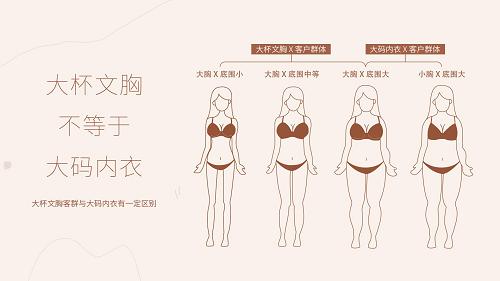 只做内衣的品牌,只做线下文胸品牌