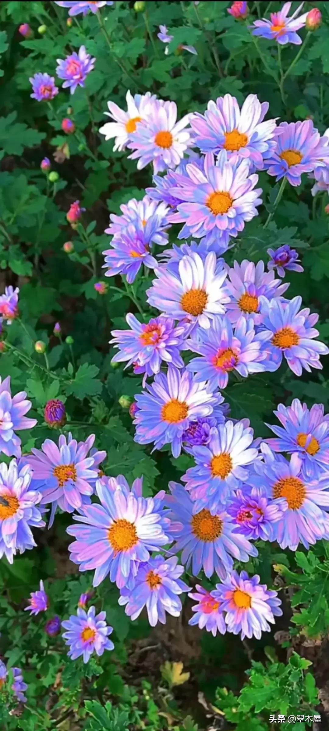 正义终将战胜邪恶对不对,正义终将战胜邪恶原唱