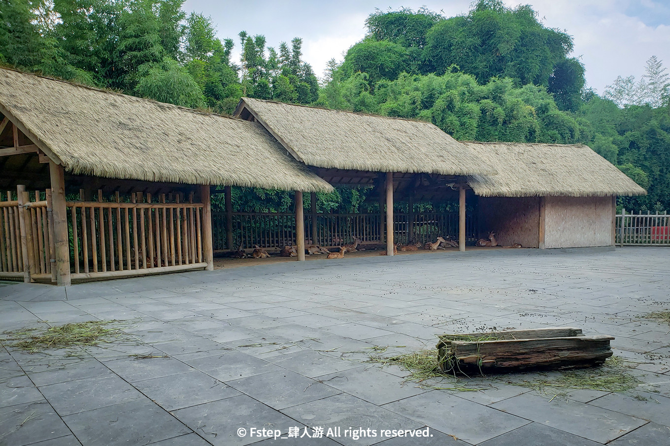 宅家云旅游遇见最美的自己 (宅家云旅游唯有爱与美食不可辜负)