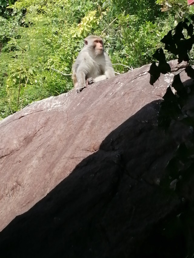站在楼顶看芽庄全景,站在国门看越南