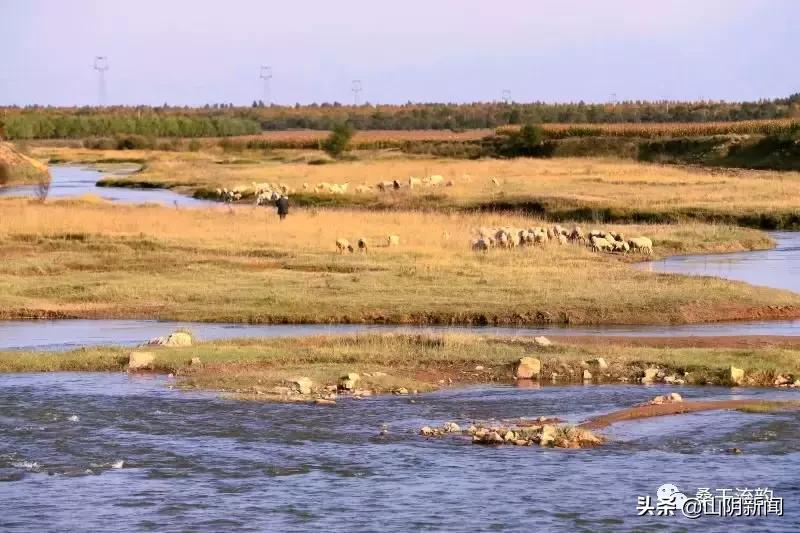 山阴县合盛堡乡新闻,山阴县岱岳镇