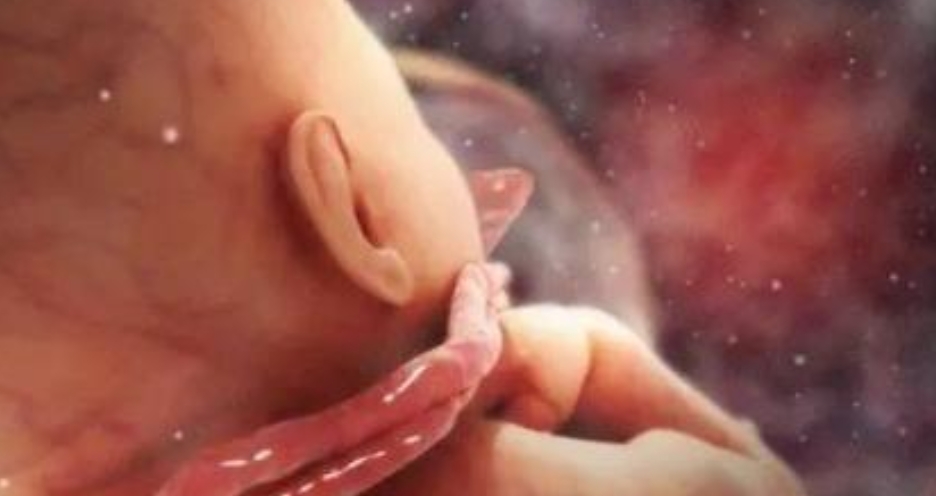 孕晚期，这些迹象说明进入胎儿的“猛涨期”，孕妈们要注意