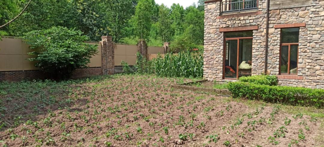 被56万压垮，重庆力帆帝国即将破产？昔日超级豪宅沦为鬼楼？