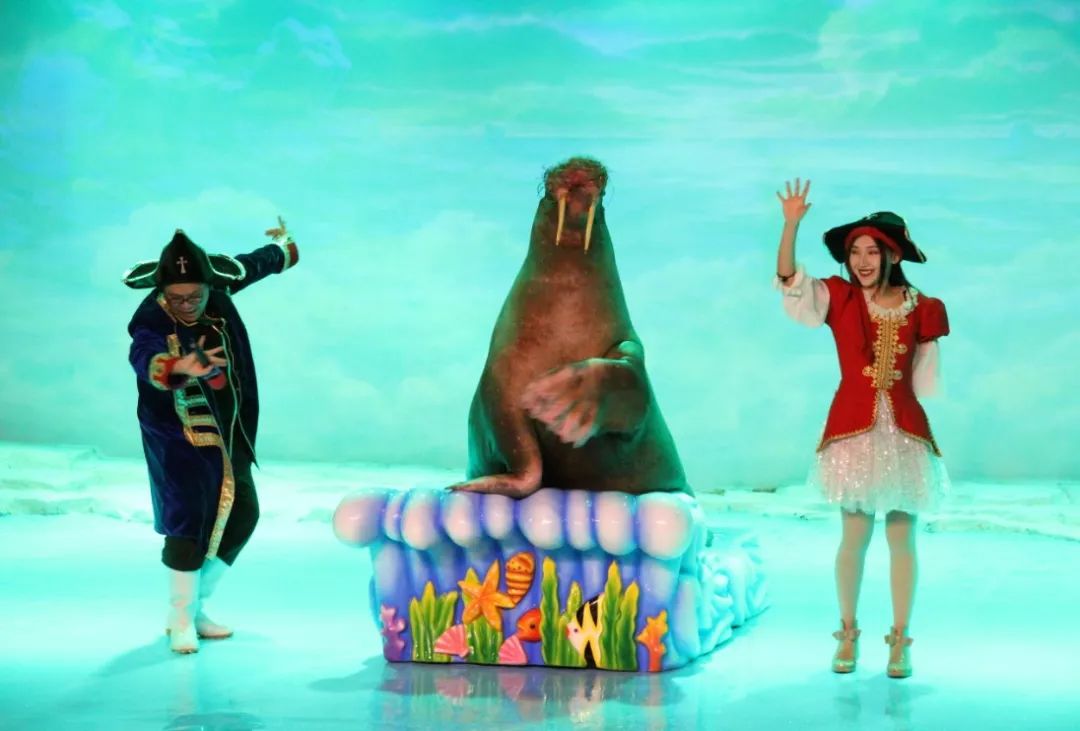 你在寒冷的室外“饥寒交迫”，我在温暖的极地馆“吃喝玩乐”