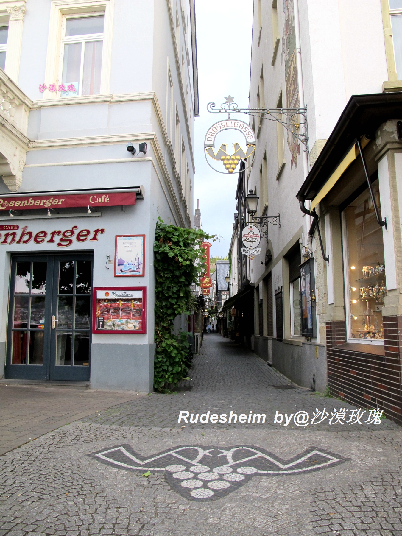 莱茵河葡萄酒小镇,莱茵河畔的葡萄小镇