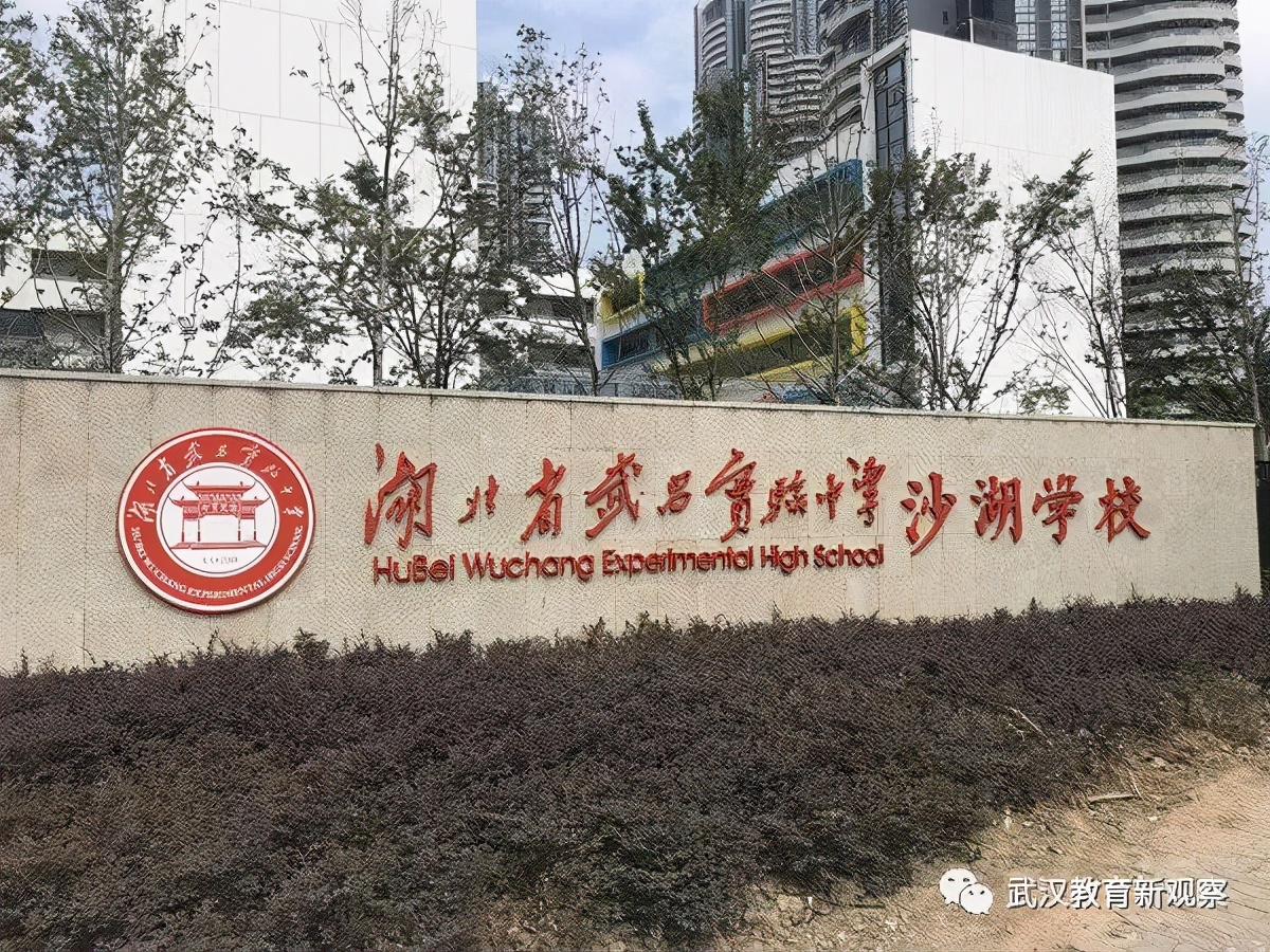 初中各科宝藏资料库,武昌区重点小学排名前十名