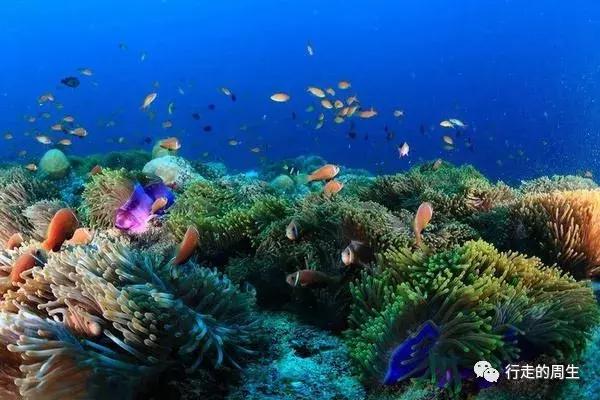 马尔代夫选岛攻略,马尔代夫选岛终极攻略