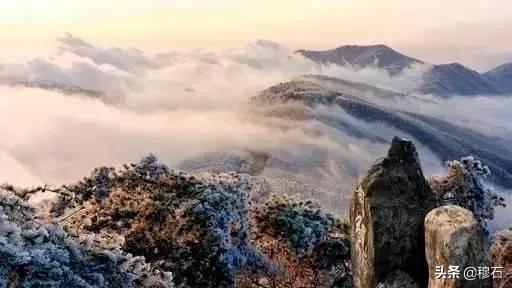 鏄槑绂呭浣忔寔,鏄槑绂呭淇